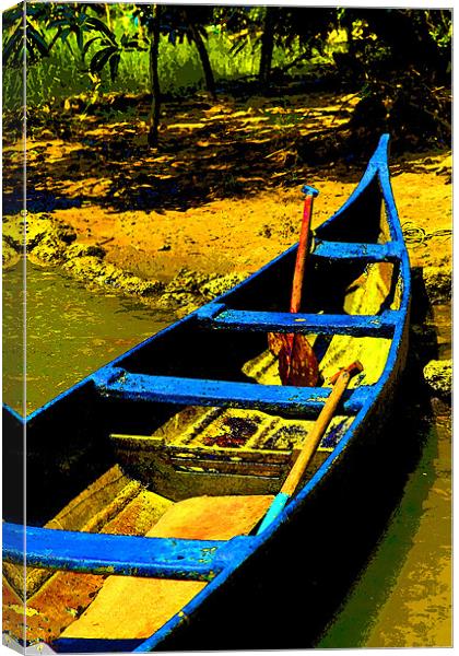 Sharp canoe on sandy Bank Canvas Print by Arfabita  