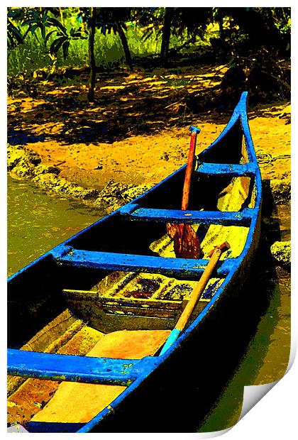 Sharp canoe on sandy Bank Print by Arfabita  