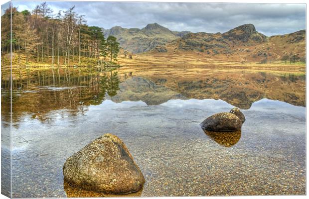 Blea Tarn in March Canvas Print by Jamie Green