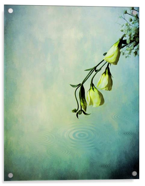Lisianthus,., Acrylic by Debra Kelday