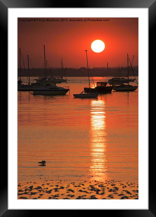Sunset Silhouettes Framed Mounted Print by Phil Wareham
