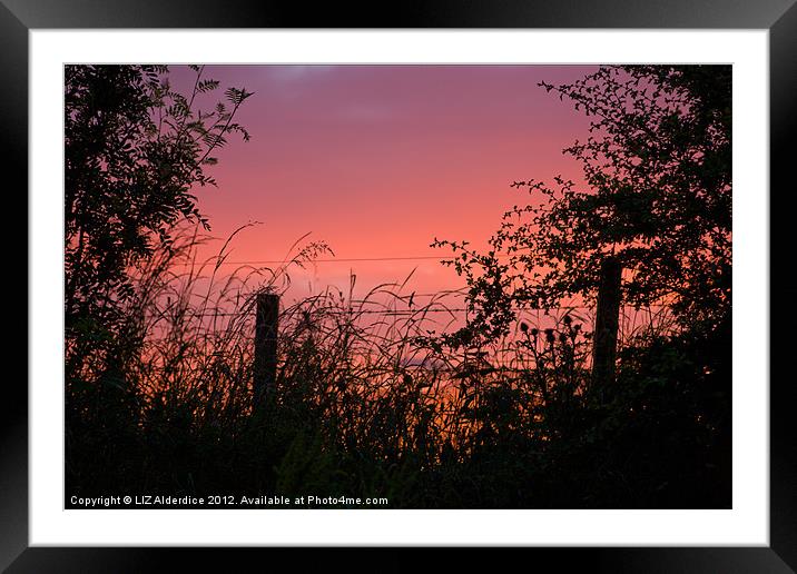 Red Sky at Night Framed Mounted Print by LIZ Alderdice