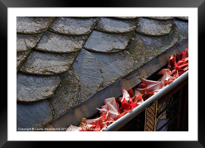 Leaves in the Gutter Framed Mounted Print by Louise Heusinkveld