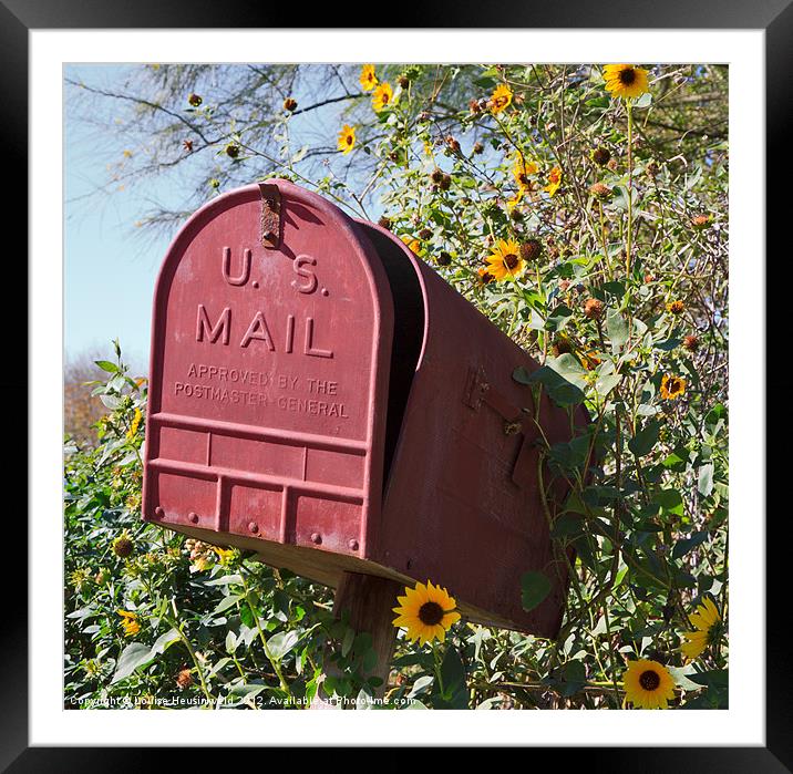 Red Mailbox with Yellow Flowers Framed Mounted Print by Louise Heusinkveld