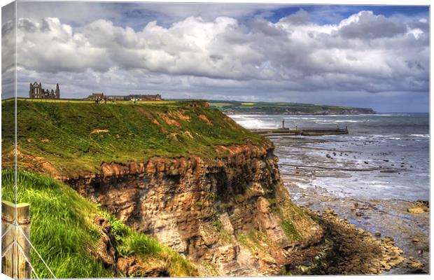 The East Cliff Canvas Print by Tom Gomez