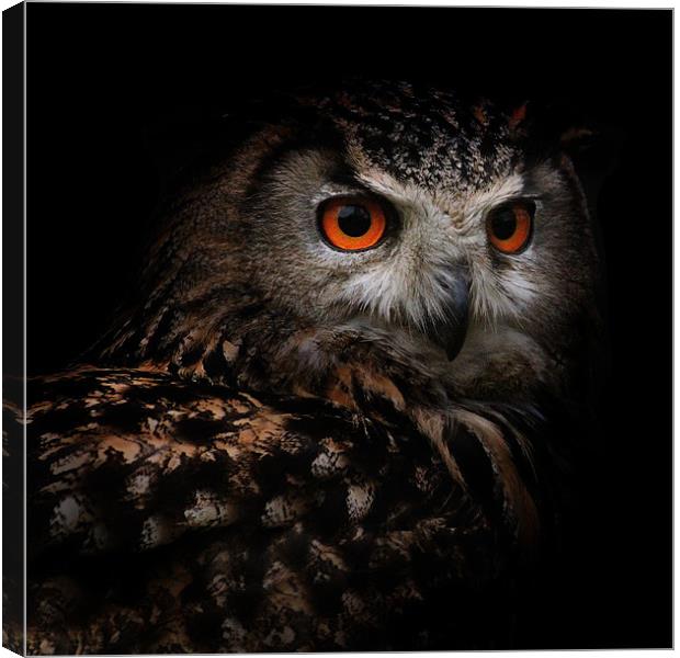 Eagle Owl with Glowing Eyes Canvas Print by Ed Pettitt