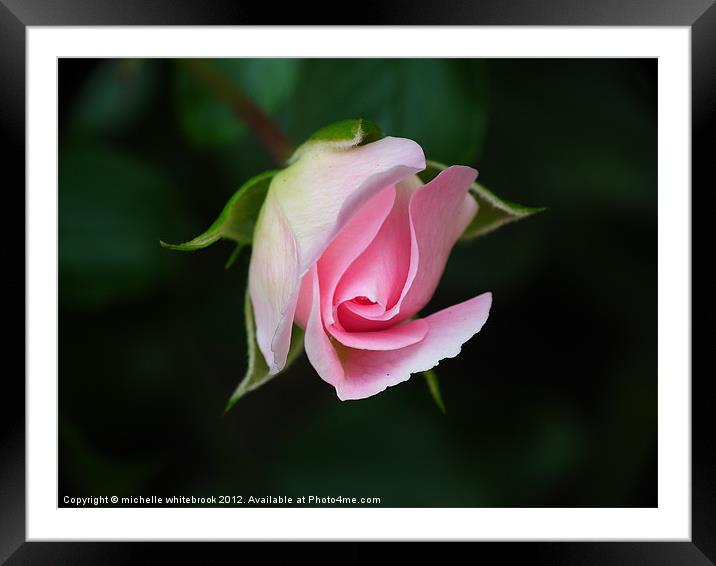 Pretty Pink Framed Mounted Print by michelle whitebrook