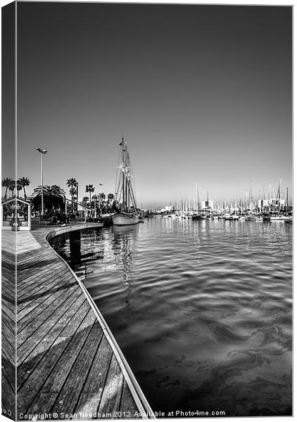 Boats, Port Vell, Barcelona Canvas Print by Sean Needham