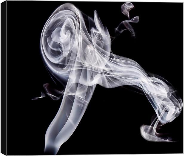 Jet Engine smoke stream Canvas Print by Andrew Ley