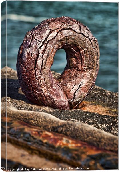 Old Rusty Hoop Canvas Print by Ray Pritchard