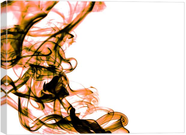 Split tone swirls Canvas Print by Andrew Ley