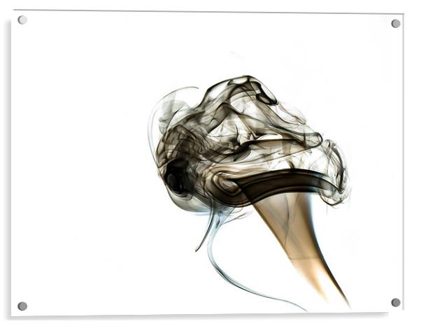 Smoke Mushroom Acrylic by Andrew Ley