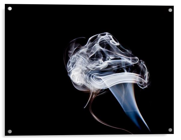 Smoke Mushroom Acrylic by Andrew Ley
