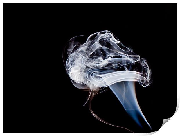 Smoke Mushroom Print by Andrew Ley