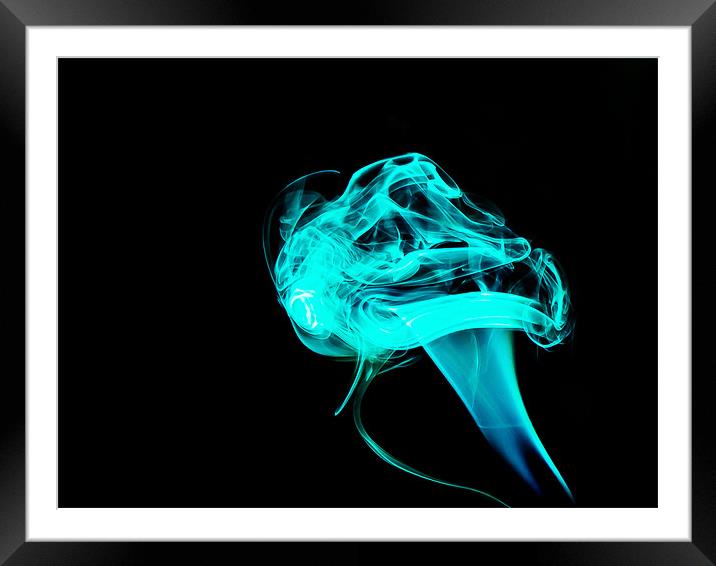 Blue Jelly fish Framed Mounted Print by Andrew Ley
