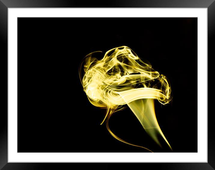 Yellow Smoke Mushroom Framed Mounted Print by Andrew Ley