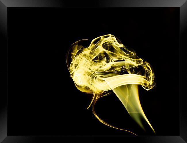 Yellow Smoke Mushroom Framed Print by Andrew Ley