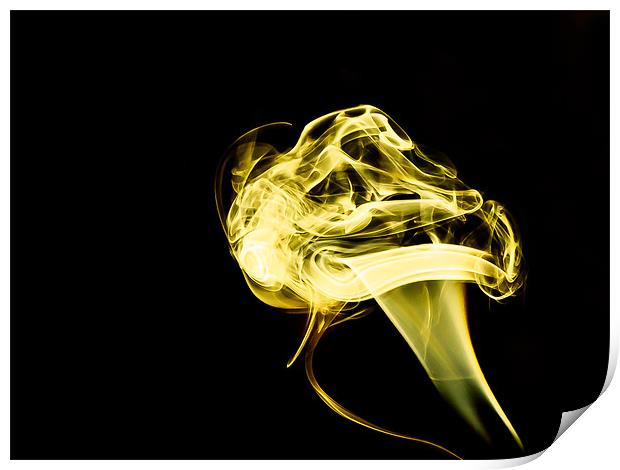 Yellow Smoke Mushroom Print by Andrew Ley