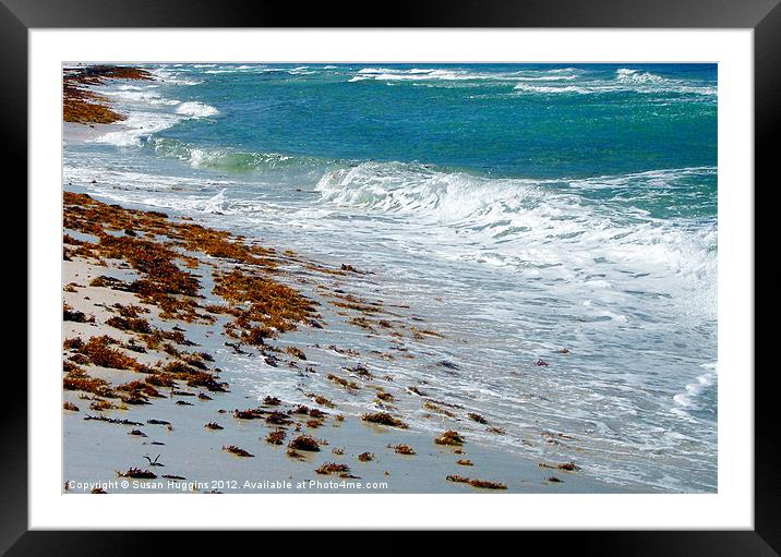 Surf's up along the coast Framed Mounted Print by Susan Medeiros