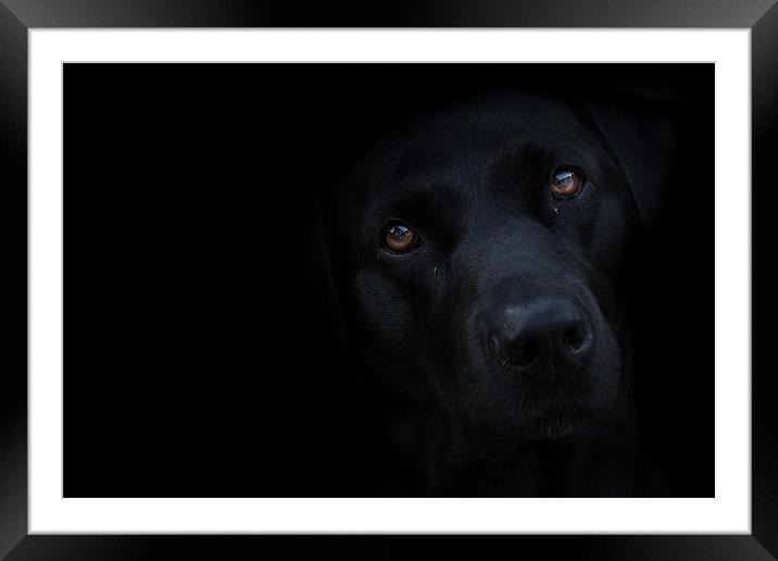 Out of the Darkness Framed Mounted Print by Simon Wrigglesworth