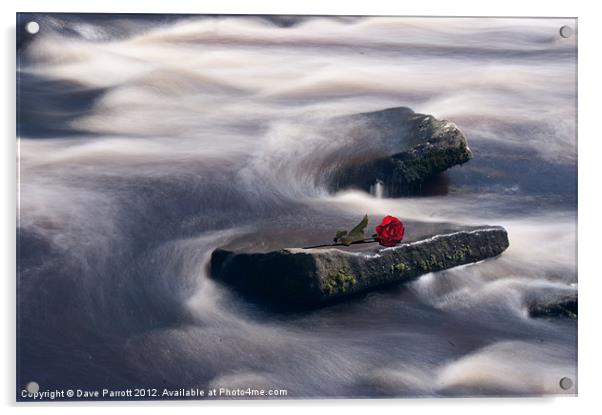 Love On The Rocks Acrylic by Daves Photography