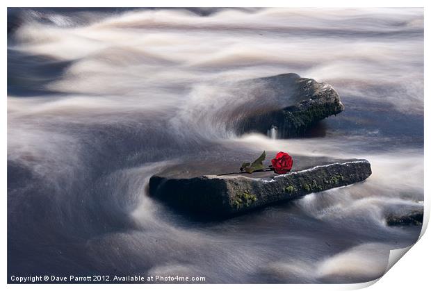 Love On The Rocks Print by Daves Photography