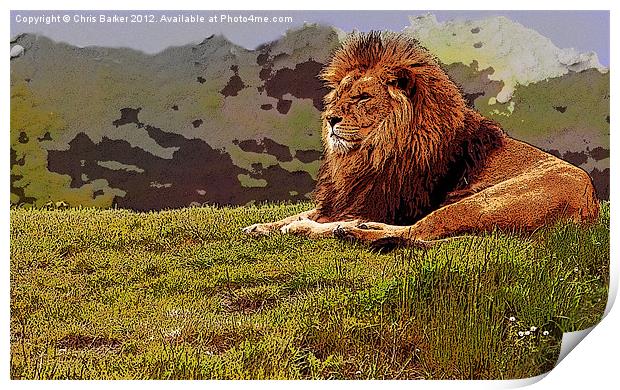 lion on watch Print by Chris Barker