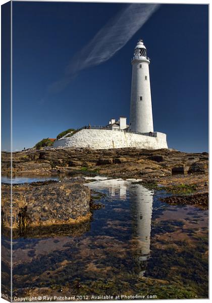 St.Mary's Lighthouse Canvas Print by Ray Pritchard
