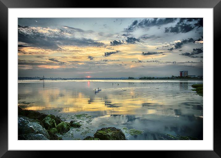Swan Sunset Framed Mounted Print by Jennie Franklin