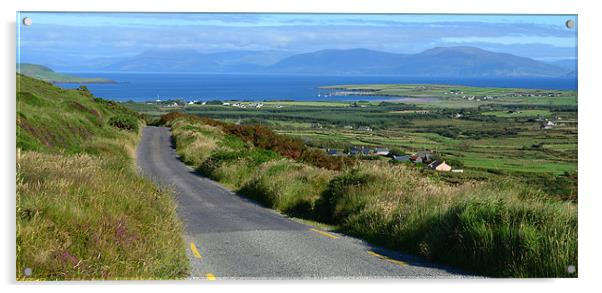 View over Ventry Bay Acrylic by barbara walsh