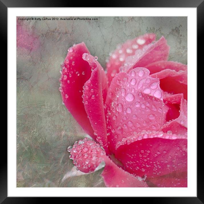 Spring Shower Framed Mounted Print by Betty LaRue