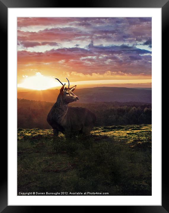 Caught In The Sunset Framed Mounted Print by Darren Burroughs