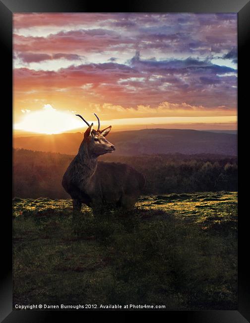 Caught In The Sunset Framed Print by Darren Burroughs