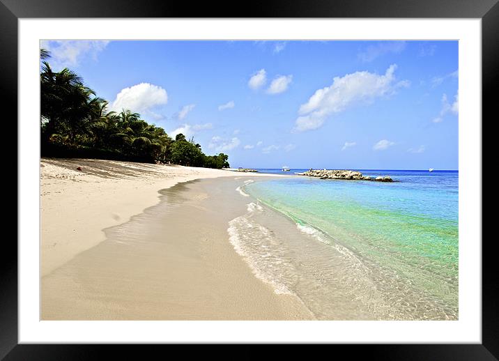 Barbados beach Framed Mounted Print by steve akerman