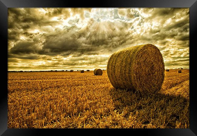 Harvest Time Framed Print by Rick Parrott