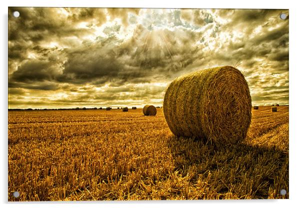 Harvest Time Acrylic by Rick Parrott