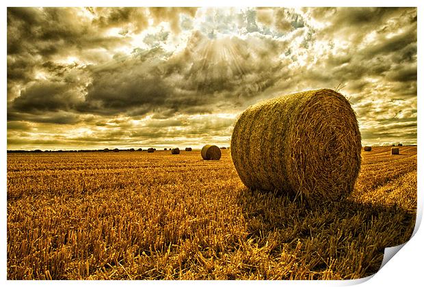 Harvest Time Print by Rick Parrott
