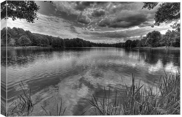 River Darent Black and White Canvas Print by Dean Messenger