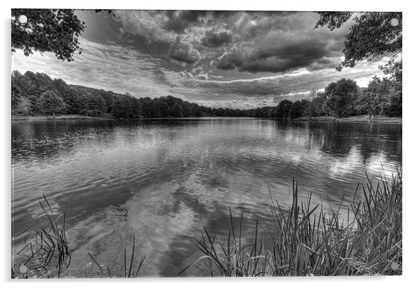 River Darent Black and White Acrylic by Dean Messenger