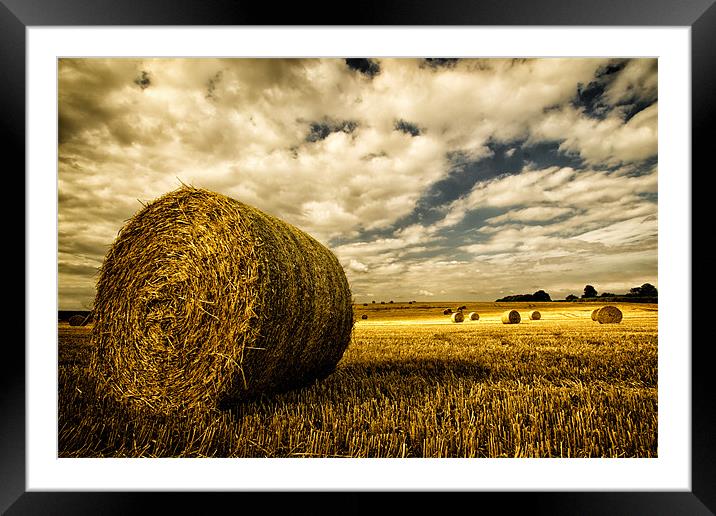 Harvest Time in Lincolnshire Framed Mounted Print by Rick Parrott
