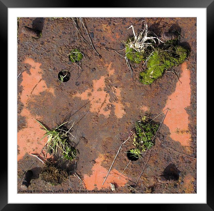 Nature takes over. Framed Mounted Print by DEE- Diana Cosford