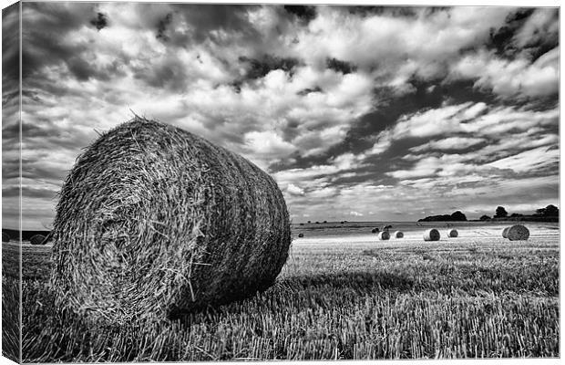 Hay Bales in Greyscale Canvas Print by Rick Parrott