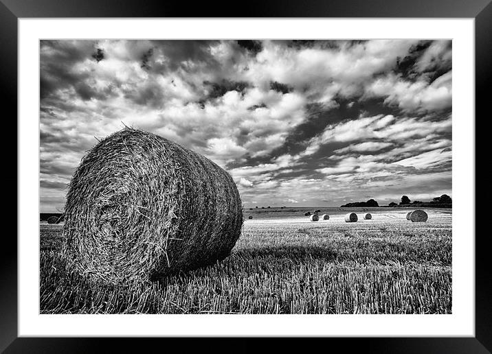 Hay Bales in Greyscale Framed Mounted Print by Rick Parrott