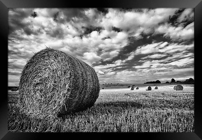 Hay Bales in Greyscale Framed Print by Rick Parrott