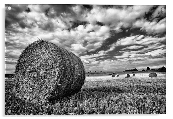 Hay Bales in Greyscale Acrylic by Rick Parrott