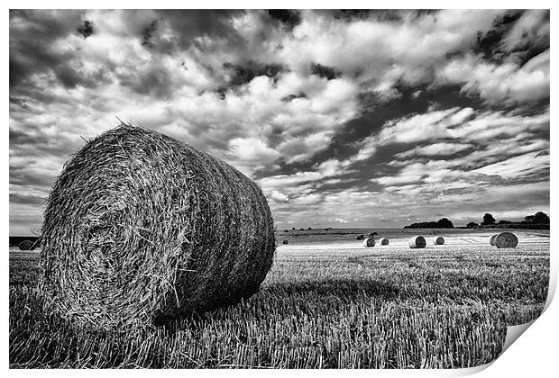 Hay Bales in Greyscale Print by Rick Parrott