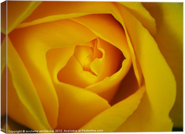 Soft Yellow Rose Canvas Print by michelle whitebrook