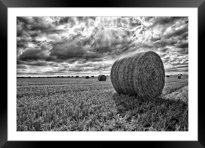 Harvest Time Framed Mounted Print by Rick Parrott