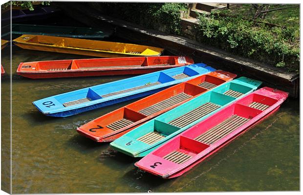 Colourful punts Canvas Print by Tony Murtagh