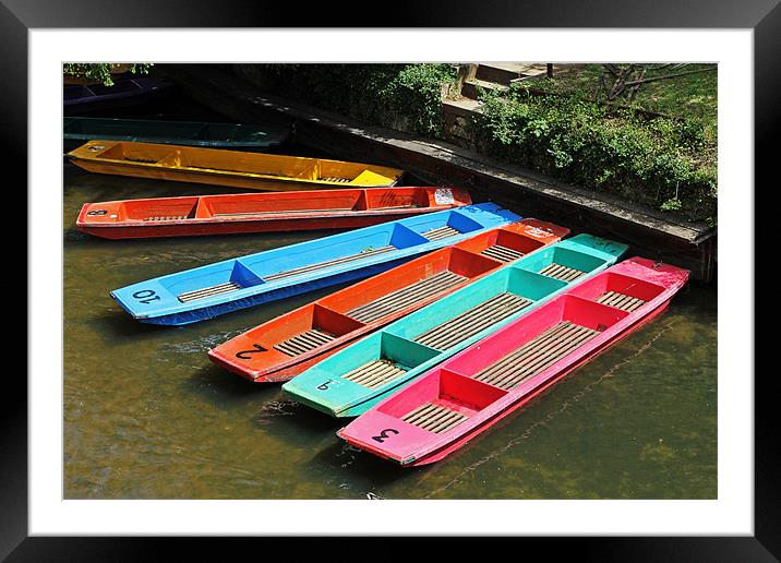 Colourful punts Framed Mounted Print by Tony Murtagh
